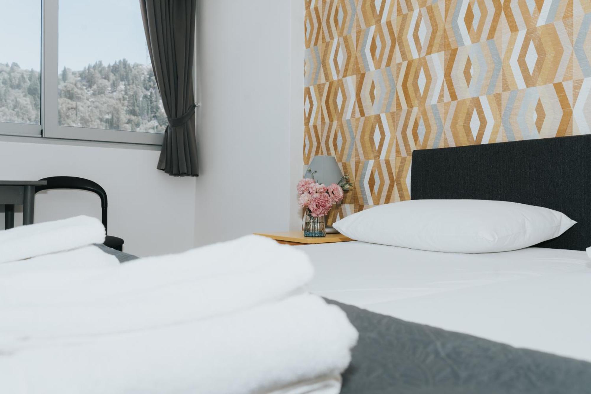 Hotel Tolero 普洛切 外观 照片